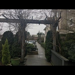 Meet your Posher, Ann